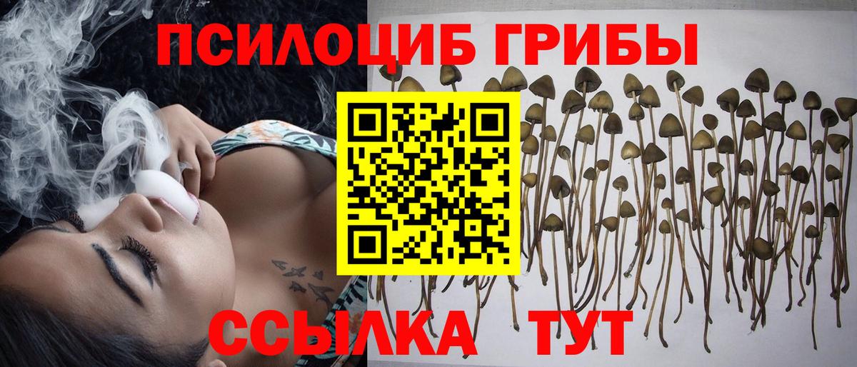 купить наркотики цена  Псилоцибиновые грибы мухоморы  Новокузнецк  Вход с VPN  Галлюциногенные грибы ЛСД 