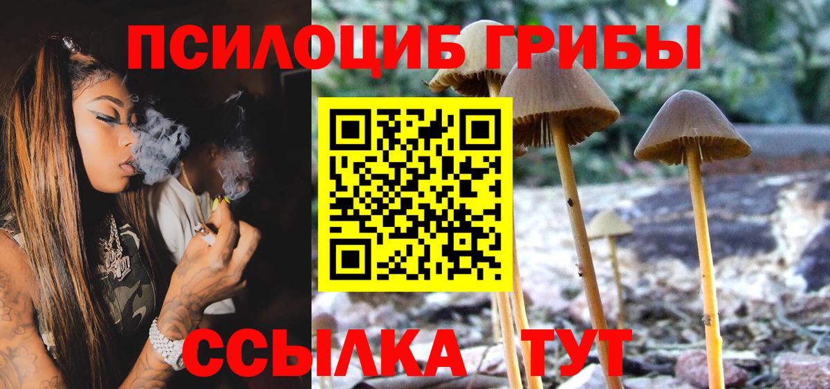 Галлюциногенные грибы прущие грибы Новокузнецк